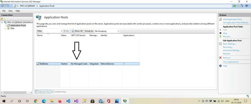 Application Pool setting